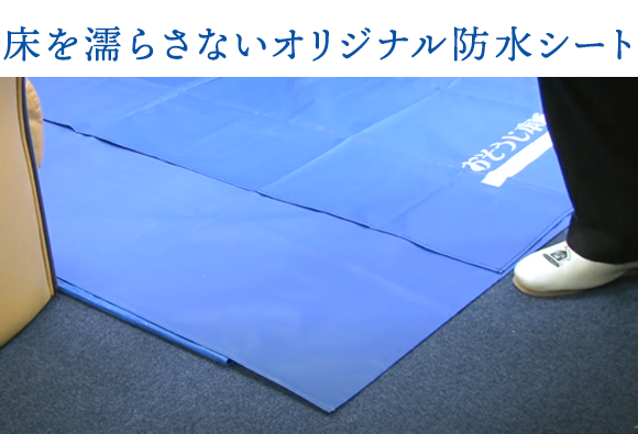 sp_2011oosouji_07 sp_2011oosouji_07