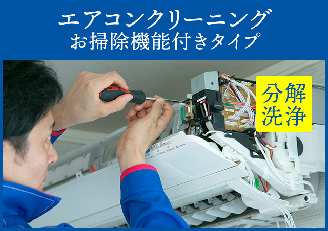 sp_2011oosouji_32 sp_2011oosouji_32