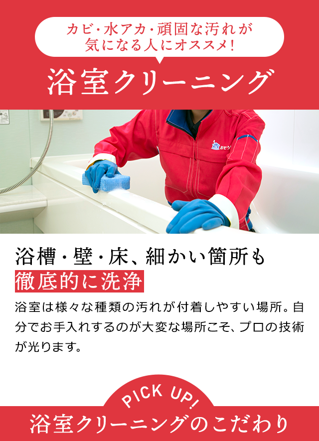 sp_2011oosouji_35 sp_2011oosouji_35