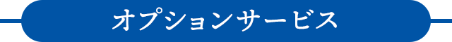 sp_2011oosouji_opt-bl sp_2011oosouji_opt-bl